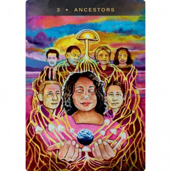 Sacred Mushroom Oracle kortos Hay House